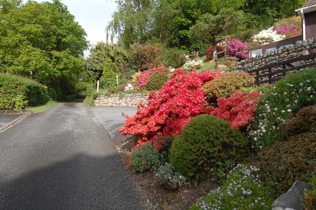 Dwy Olwyn Hotel Dolgellau Exterior photo